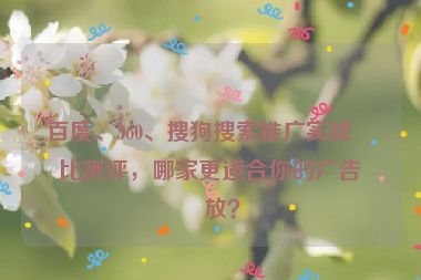 百度、360、搜狗搜索推廣實戰(zhàn)對比測評，哪家更適合你的廣告投放？