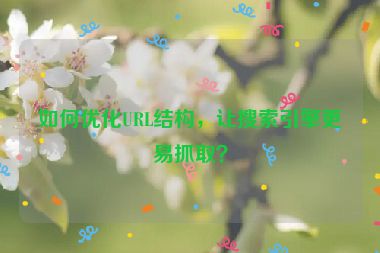 如何優(yōu)化URL結構，讓搜索引擎更易抓?。?></a></div>    <div   id=