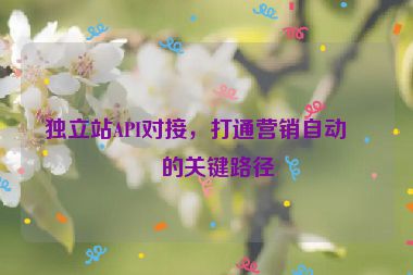 獨(dú)立站API對(duì)接，打通營銷自動(dòng)化的關(guān)鍵路徑