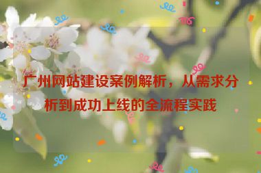 廣州網(wǎng)站建設(shè)案例解析，從需求分析到成功上線的全流程實踐