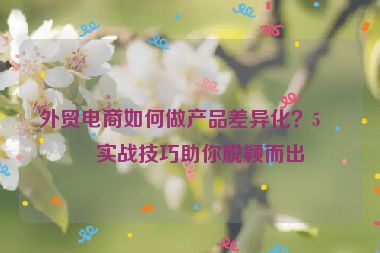 外貿(mào)電商如何做產(chǎn)品差異化？5個實戰(zhàn)技巧助你脫穎而出
