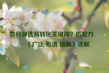 如何篩選高轉(zhuǎn)化關(guān)鍵詞？匹配方式（廣泛/短語/精確）詳解