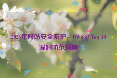 2025年網(wǎng)站安全防護(hù)，OWASP Top 10漏洞防范指南