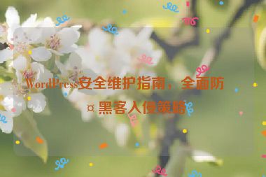 WordPress安全維護指南，全面防護黑客入侵策略
