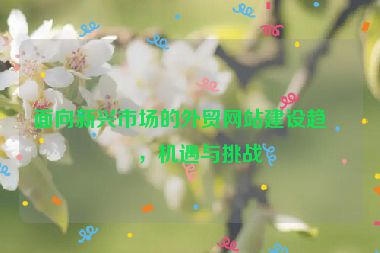 面向新興市場的外貿(mào)網(wǎng)站建設(shè)趨勢，機遇與挑戰(zhàn)
