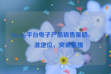 Newegg平臺電子產品銷售策略，精準定位，突破重圍