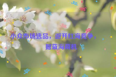 小眾市場選品，避開紅海競爭，挖掘藍(lán)海商機(jī)