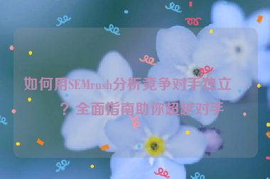 如何用SEMrush分析競爭對手獨(dú)立站？全面指南助你超越對手