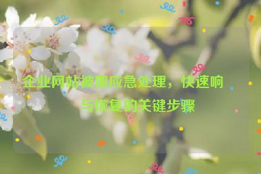 企業(yè)網(wǎng)站被黑應(yīng)急處理，快速響應(yīng)與恢復(fù)的關(guān)鍵步驟