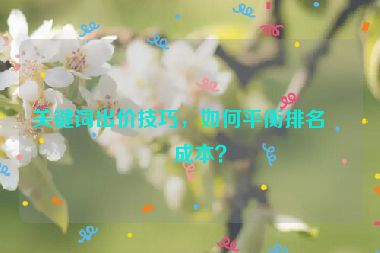 關(guān)鍵詞出價(jià)技巧，如何平衡排名和成本？