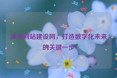 深圳網(wǎng)站建設網(wǎng)，打造數(shù)字化未來的關鍵一步