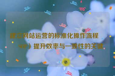 建立網(wǎng)站運(yùn)營(yíng)的標(biāo)準(zhǔn)化操作流程（SOP）提升效率與一致性的關(guān)鍵