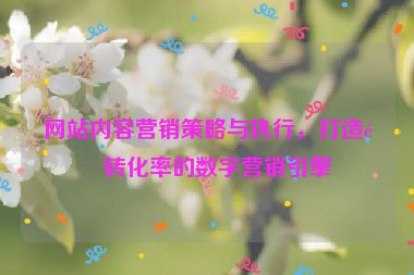 網(wǎng)站內(nèi)容營(yíng)銷策略與執(zhí)行，打造高轉(zhuǎn)化率的數(shù)字營(yíng)銷引擎