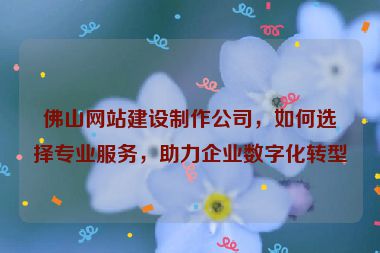 佛山網(wǎng)站建設(shè)制作公司，如何選擇專業(yè)服務(wù)，助力企業(yè)數(shù)字化轉(zhuǎn)型