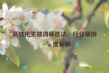 高轉(zhuǎn)化關(guān)鍵詞篩選法，行業(yè)案例深度解析
