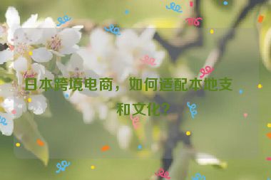 日本跨境電商，如何適配本地支付和文化？