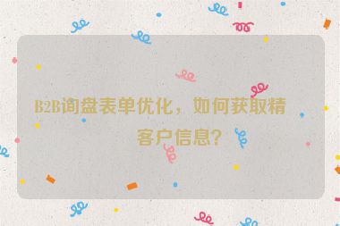 B2B詢盤(pán)表單優(yōu)化，如何獲取精準(zhǔn)客戶信息？