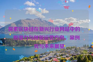 探索區(qū)塊鏈在新興行業(yè)網(wǎng)站中的應(yīng)用潛力與創(chuàng)新運(yùn)營(yíng)方向，案例研究與未來(lái)展望