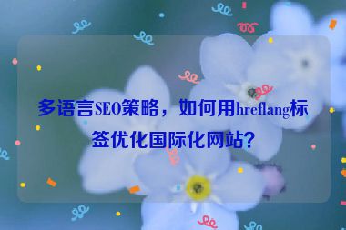 多語言SEO策略，如何用hreflang標簽優(yōu)化國際化網站？
