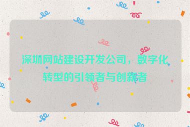 深圳網(wǎng)站建設(shè)開(kāi)發(fā)公司，數(shù)字化轉(zhuǎn)型的引領(lǐng)者與創(chuàng)新者