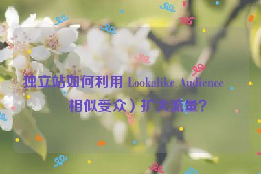獨(dú)立站如何利用 Lookalike Audience（相似受眾）擴(kuò)大流量？