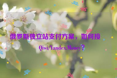 俄羅斯獨(dú)立站支付方案，如何接入Qiwi/Yandex.Money？