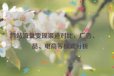 網(wǎng)站流量變現(xiàn)渠道對(duì)比，廣告、會(huì)員、電商等模式分析