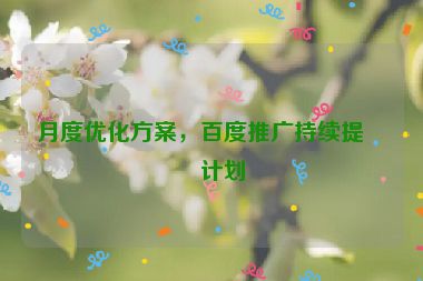 月度優(yōu)化方案，百度推廣持續(xù)提升計(jì)劃