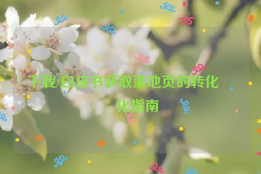 下載/白皮書獲取落地頁的轉化優(yōu)化指南