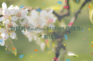 如何用 WordPress REST API 連接外部系統(tǒng)？