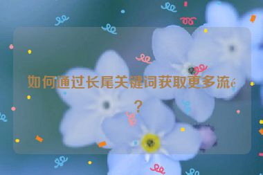如何通過(guò)長(zhǎng)尾關(guān)鍵詞獲取更多流量？
