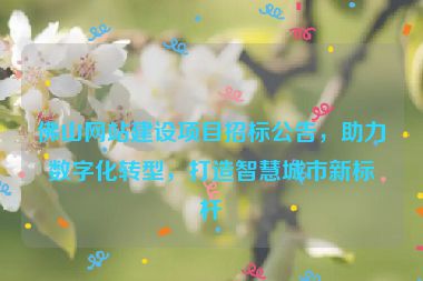 佛山網(wǎng)站建設(shè)項目招標公告，助力數(shù)字化轉(zhuǎn)型，打造智慧城市新標桿