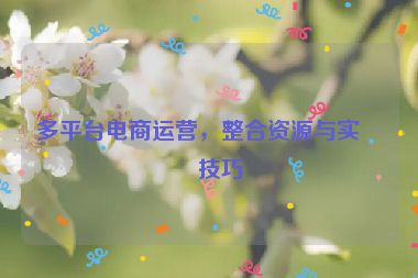 多平臺(tái)電商運(yùn)營(yíng)，整合資源與實(shí)戰(zhàn)技巧