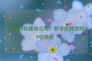 深圳網(wǎng)站建設(shè)公司，數(shù)字化轉(zhuǎn)型的引領(lǐng)者