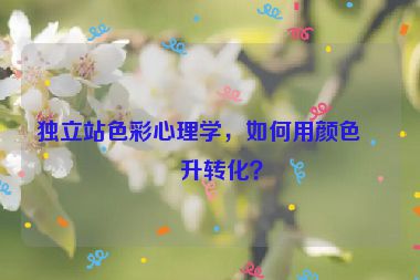 獨立站色彩心理學(xué)，如何用顏色提升轉(zhuǎn)化？