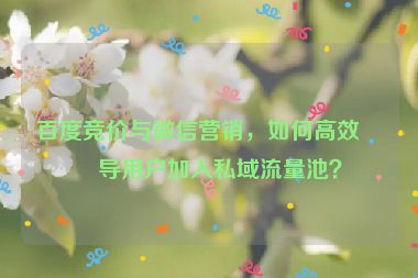 百度競價與微信營銷，如何高效引導(dǎo)用戶加入私域流量池？