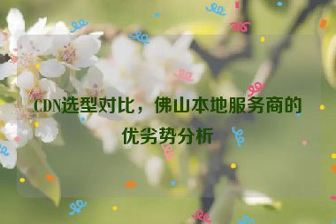 CDN選型對(duì)比，佛山本地服務(wù)商的優(yōu)劣勢(shì)分析