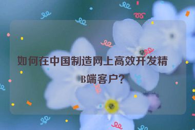如何在中國(guó)制造網(wǎng)上高效開發(fā)精準(zhǔn)B端客戶？
