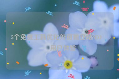 5個(gè)免費(fèi)工具優(yōu)化外貿(mào)獨(dú)立站SEO和用戶體驗(yàn)