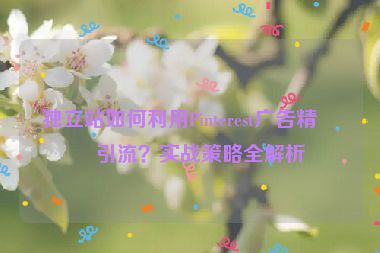 獨(dú)立站如何利用Pinterest廣告精準(zhǔn)引流？實(shí)戰(zhàn)策略全解析