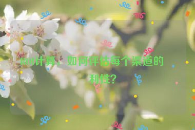 ROI計算，如何評估每個渠道的盈利性？