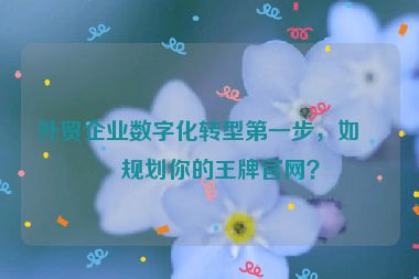 外貿(mào)企業(yè)數(shù)字化轉(zhuǎn)型第一步，如何規(guī)劃你的王牌官網(wǎng)？