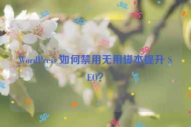WordPress 如何禁用無用腳本提升 SEO？