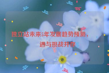 獨(dú)立站未來(lái)5年發(fā)展趨勢(shì)預(yù)測(cè)，機(jī)遇與挑戰(zhàn)并存