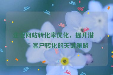企業(yè)網(wǎng)站轉(zhuǎn)化率優(yōu)化，提升潛在客戶轉(zhuǎn)化的關(guān)鍵策略
