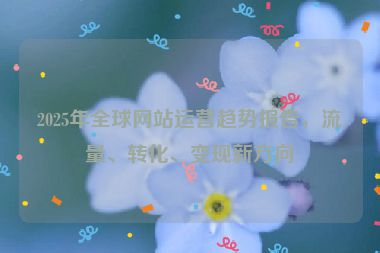 2025年全球網(wǎng)站運營趨勢報告，流量、轉(zhuǎn)化、變現(xiàn)新方向