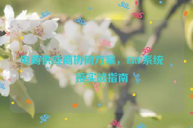 電商供應商協(xié)同方案，ERP系統(tǒng)對接實戰(zhàn)指南