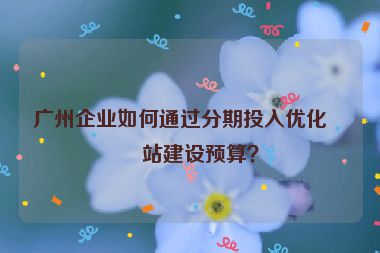廣州企業(yè)如何通過(guò)分期投入優(yōu)化網(wǎng)站建設(shè)預(yù)算？