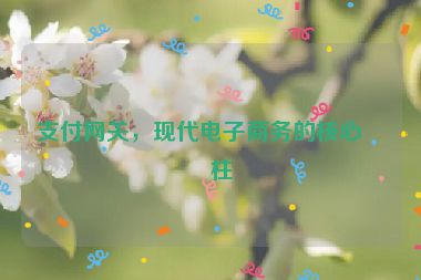支付網(wǎng)關(guān)，現(xiàn)代電子商務(wù)的核心支柱