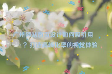 廣州網(wǎng)站首頁設(shè)計如何吸引用戶？打造高轉(zhuǎn)化率的視覺體驗